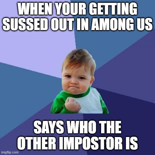 Success Kid Meme | WHEN YOUR GETTING SUSSED OUT IN AMONG US; SAYS WHO THE OTHER IMPOSTOR IS | image tagged in memes,success kid | made w/ Imgflip meme maker