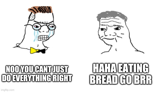 noooo you can't just | NOO YOU CANT JUST DO EVERYTHING RIGHT HAHA EATING BREAD GO BRR | image tagged in noooo you can't just | made w/ Imgflip meme maker
