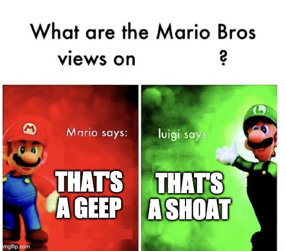 Mario Bros Views | THAT'S A GEEP THAT'S A SHOAT | image tagged in mario bros views | made w/ Imgflip meme maker