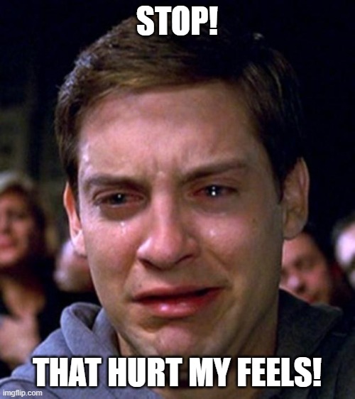 crying peter parker | STOP! THAT HURT MY FEELS! | image tagged in crying peter parker | made w/ Imgflip meme maker
