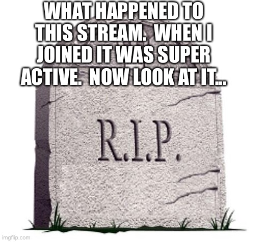 RIP | WHAT HAPPENED TO THIS STREAM.  WHEN I JOINED IT WAS SUPER ACTIVE.  NOW LOOK AT IT... | image tagged in rip,anime,army | made w/ Imgflip meme maker