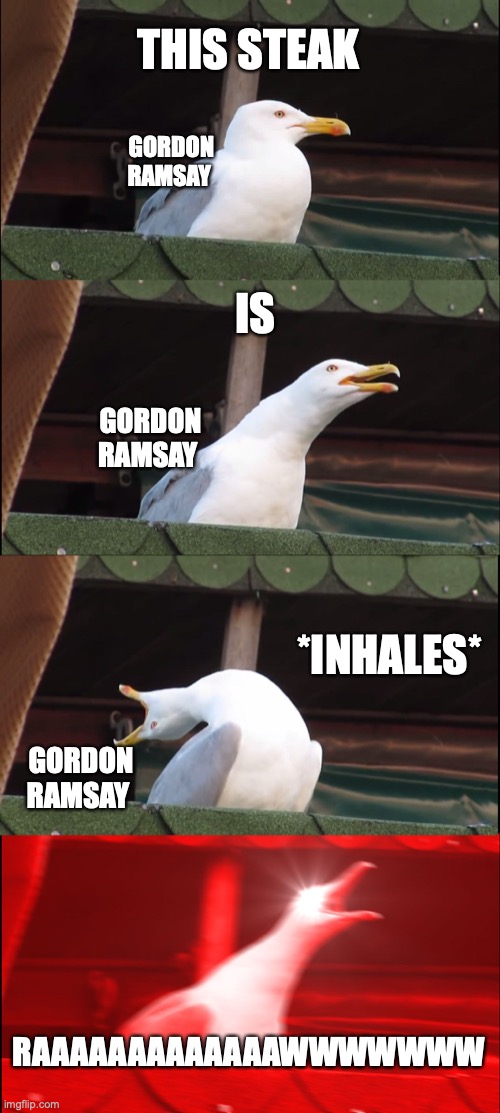 he yells too much | THIS STEAK; GORDON RAMSAY; IS; GORDON RAMSAY; *INHALES*; GORDON RAMSAY; RAAAAAAAAAAAAAWWWWWWW | image tagged in memes,inhaling seagull | made w/ Imgflip meme maker