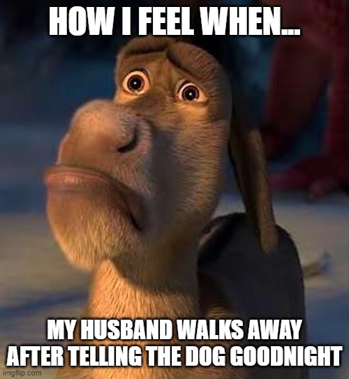 Sad Goodnight | HOW I FEEL WHEN... MY HUSBAND WALKS AWAY AFTER TELLING THE DOG GOODNIGHT | image tagged in sad donkey | made w/ Imgflip meme maker