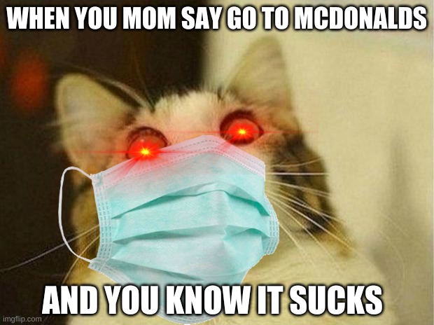 WHEN YOU MOM SAY GO TO MCDONALDS; AND YOU KNOW IT SUCKS | image tagged in funny memes | made w/ Imgflip meme maker