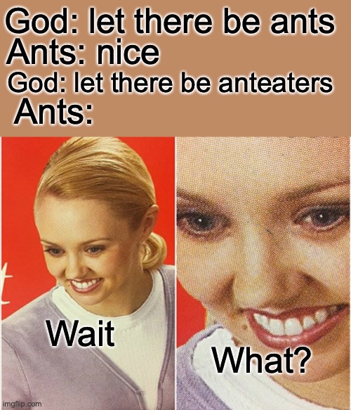 WAIT WHAT? | God: let there be ants; Ants: nice; God: let there be anteaters; Ants:; Wait; What? | image tagged in wait what | made w/ Imgflip meme maker