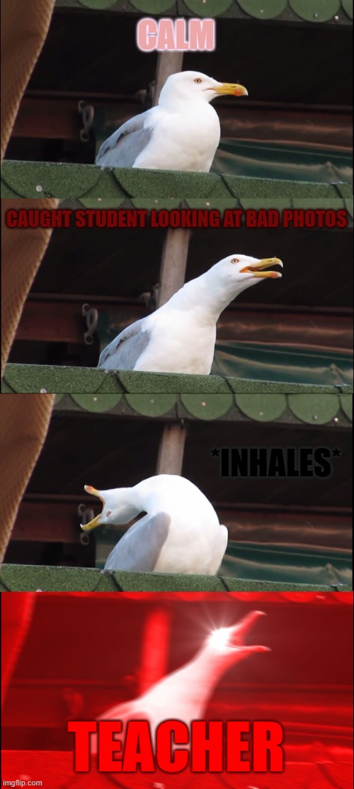 Dont look at nasty thangs | CALM; CAUGHT STUDENT LOOKING AT BAD PHOTOS; *INHALES*; TEACHER | image tagged in memes,inhaling seagull | made w/ Imgflip meme maker