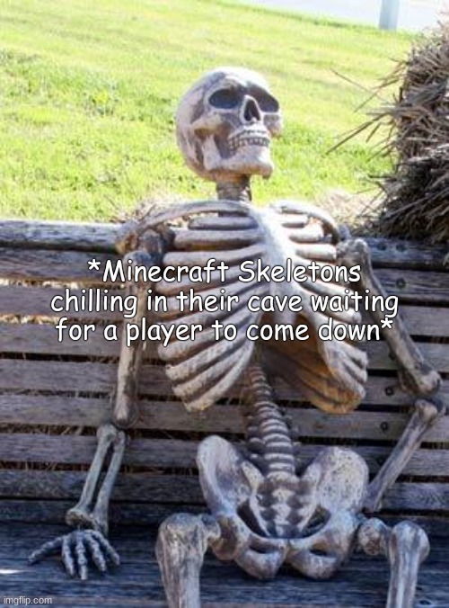 Waiting Skeleton | *Minecraft Skeletons chilling in their cave waiting for a player to come down* | image tagged in memes,waiting skeleton | made w/ Imgflip meme maker