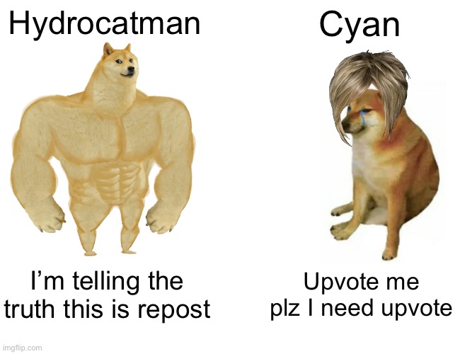 Buff Doge vs. Cheems | Hydrocatman; Cyan; I’m telling the truth this is repost; Upvote me plz I need upvote | image tagged in memes,buff doge vs cheems | made w/ Imgflip meme maker