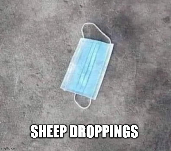 SHEEP DROPPINGS | image tagged in sheep shit | made w/ Imgflip meme maker