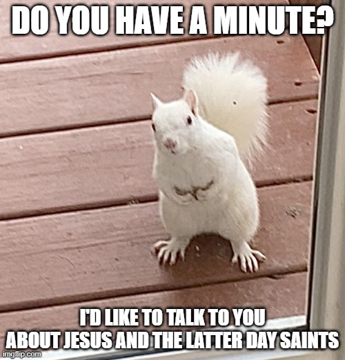 Mormon squirrel |  DO YOU HAVE A MINUTE? I'D LIKE TO TALK TO YOU ABOUT JESUS AND THE LATTER DAY SAINTS | image tagged in squirrel,mormon | made w/ Imgflip meme maker