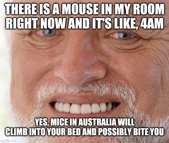 Help there's three of them aaaaaaaAAAAAAH | THERE IS A MOUSE IN MY ROOM RIGHT NOW AND IT'S LIKE, 4AM; YES, MICE IN AUSTRALIA WILL CLIMB INTO YOUR BED AND POSSIBLY BITE YOU | image tagged in hide the pain harold | made w/ Imgflip meme maker