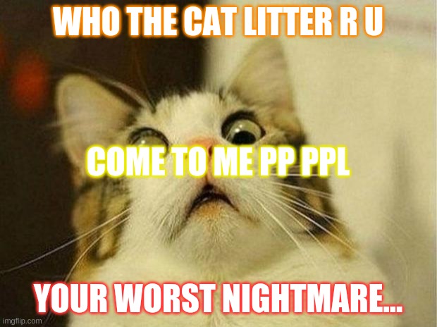 Scared Cat Meme | WHO THE CAT LITTER R U; COME TO ME PP PPL; YOUR WORST NIGHTMARE... | image tagged in memes,scared cat | made w/ Imgflip meme maker
