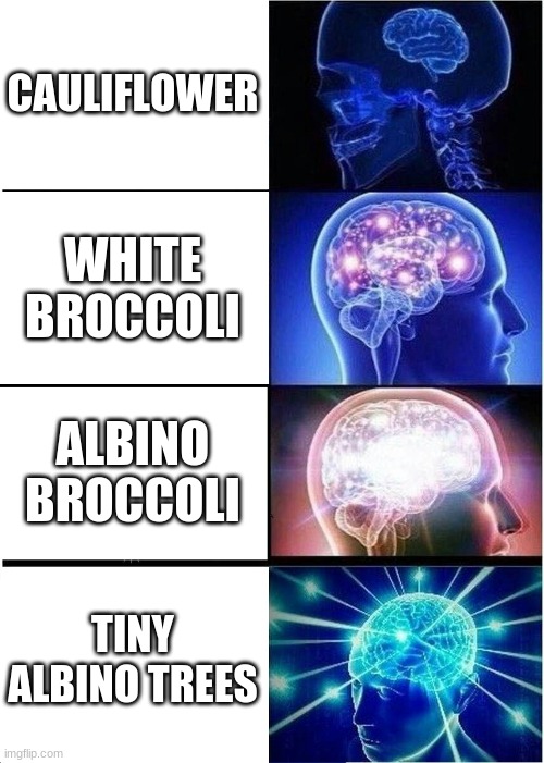 Expanding Brain Meme | CAULIFLOWER WHITE BROCCOLI ALBINO BROCCOLI TINY ALBINO TREES | image tagged in memes,expanding brain | made w/ Imgflip meme maker