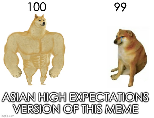 Buff Doge vs. Cheems Meme | 100 99 ASIAN HIGH EXPECTATIONS VERSION OF THIS MEME | image tagged in memes,buff doge vs cheems | made w/ Imgflip meme maker