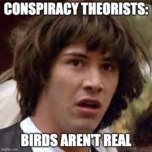 Conspiracy Keanu Meme | CONSPIRACY THEORISTS: BIRDS AREN'T REAL | image tagged in memes,conspiracy keanu | made w/ Imgflip meme maker