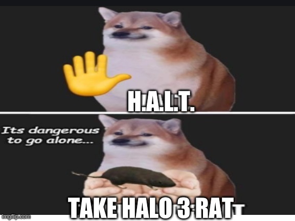 take halo 3 rat | H.A.L.T. TAKE HALO 3 RAT | image tagged in funny | made w/ Imgflip meme maker