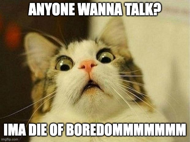-_- im scared of dying | ANYONE WANNA TALK? IMA DIE OF BOREDOMMMMMMM | image tagged in memes,scared cat | made w/ Imgflip meme maker