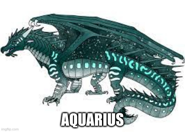 AQUARIUS | made w/ Imgflip meme maker