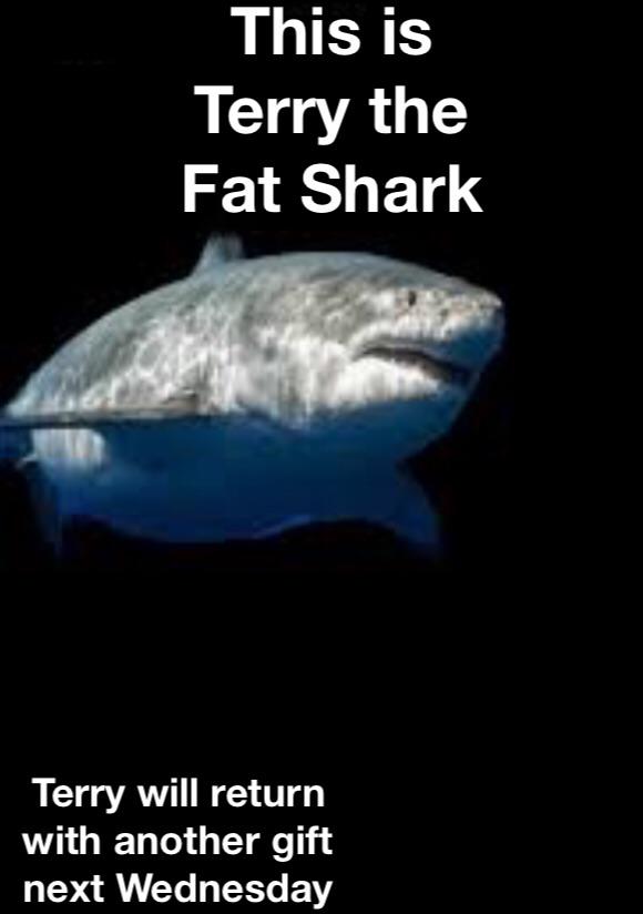 High Quality Terry the Fat Shark is back! Blank Meme Template