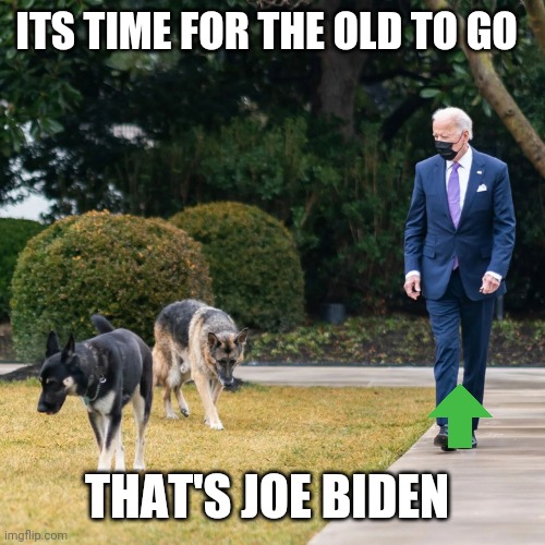 Joe Biden biting incident again | ITS TIME FOR THE OLD TO GO; THAT'S JOE BIDEN | image tagged in old crippled dog biden | made w/ Imgflip meme maker