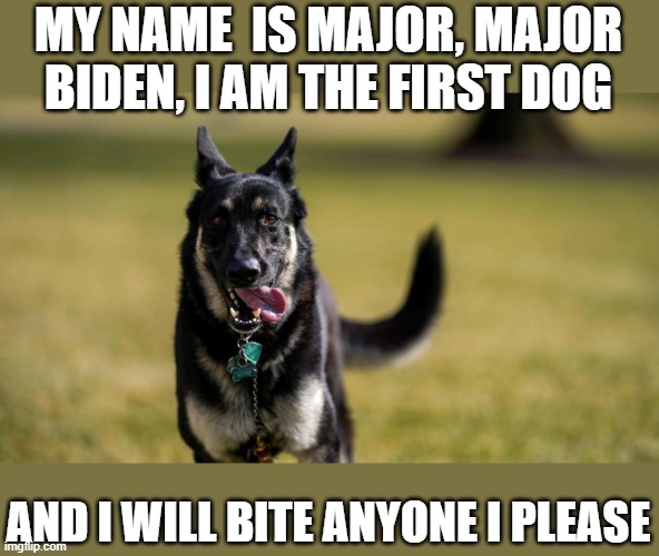 Major has minor issues. | MY NAME  IS MAJOR, MAJOR BIDEN, I AM THE FIRST DOG; AND I WILL BITE ANYONE I PLEASE | image tagged in biden dog-1,memes,fun,dogs | made w/ Imgflip meme maker