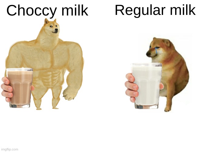 Choccy | Choccy milk; Regular milk | image tagged in memes,buff doge vs cheems,choccy milk,vanilla | made w/ Imgflip meme maker