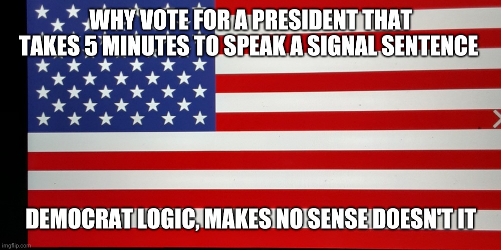 Flag | WHY VOTE FOR A PRESIDENT THAT TAKES 5 MINUTES TO SPEAK A SIGNAL SENTENCE; DEMOCRAT LOGIC, MAKES NO SENSE DOESN'T IT | image tagged in flag | made w/ Imgflip meme maker