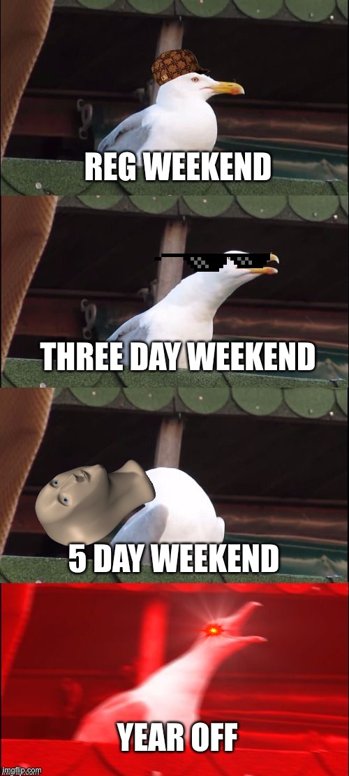 Why Not |  REG WEEKEND; THREE DAY WEEKEND; 5 DAY WEEKEND; YEAR OFF | image tagged in segull scream | made w/ Imgflip meme maker