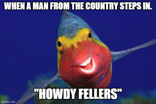 howdy!!! | WHEN A MAN FROM THE COUNTRY STEPS IN. "HOWDY FELLERS" | image tagged in howdy fish | made w/ Imgflip meme maker