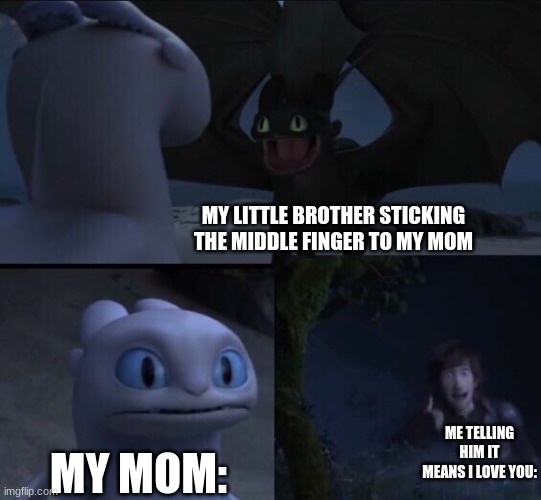 here i a little lesson in trickery | MY LITTLE BROTHER STICKING THE MIDDLE FINGER TO MY MOM; ME TELLING HIM IT MEANS I LOVE YOU:; MY MOM: | image tagged in how to train your dragon 3,memes,mom | made w/ Imgflip meme maker