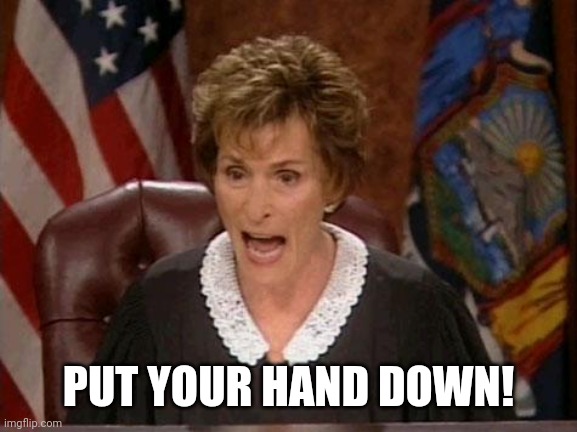 Put Your Hand Down! | PUT YOUR HAND DOWN! | image tagged in judge judy | made w/ Imgflip meme maker
