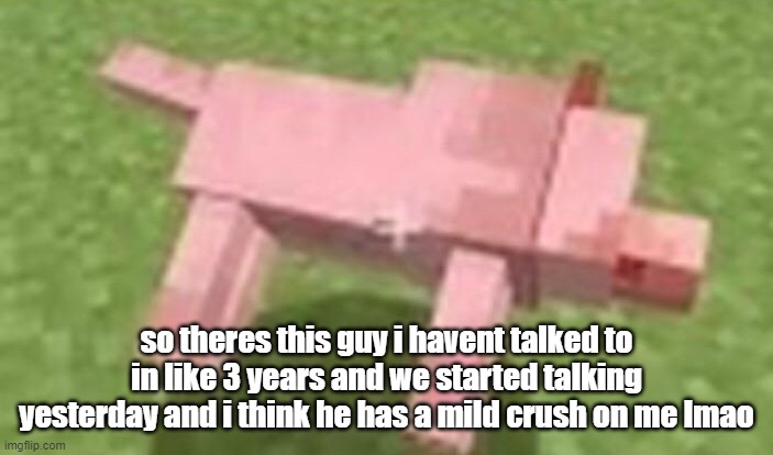 minecraft dog dying | so theres this guy i havent talked to in like 3 years and we started talking yesterday and i think he has a mild crush on me lmao | image tagged in minecraft dog dying | made w/ Imgflip meme maker