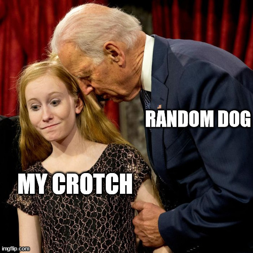 Still haven't fiigured out why dogs like sniffing people's crotchs. | image tagged in sniffer | made w/ Imgflip meme maker
