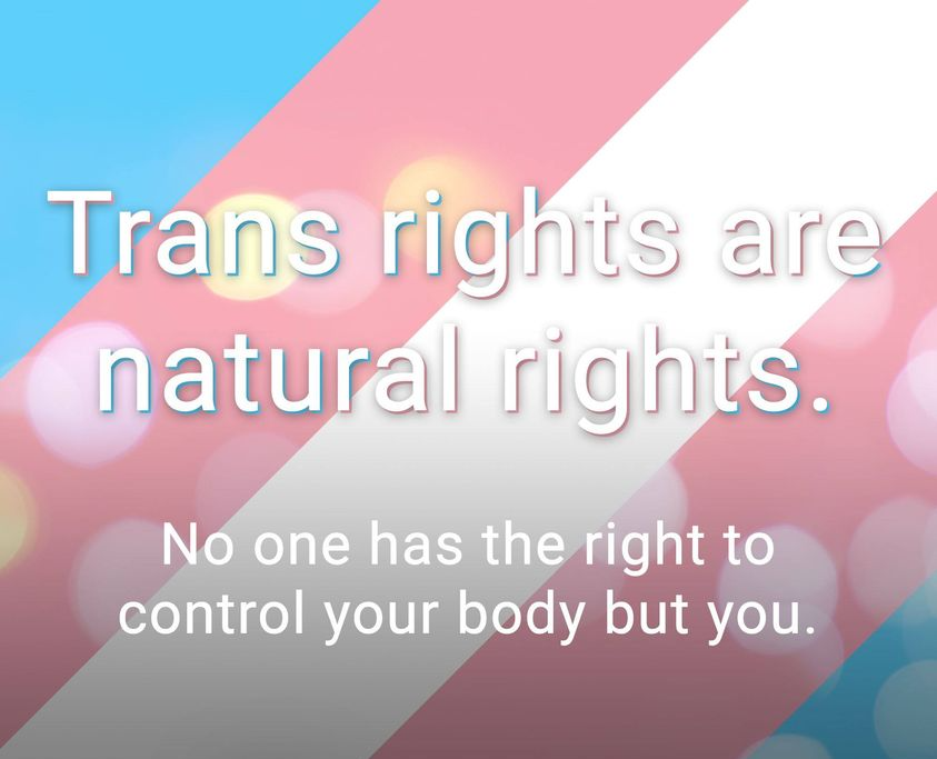 High Quality Trans rights are natural rights Blank Meme Template