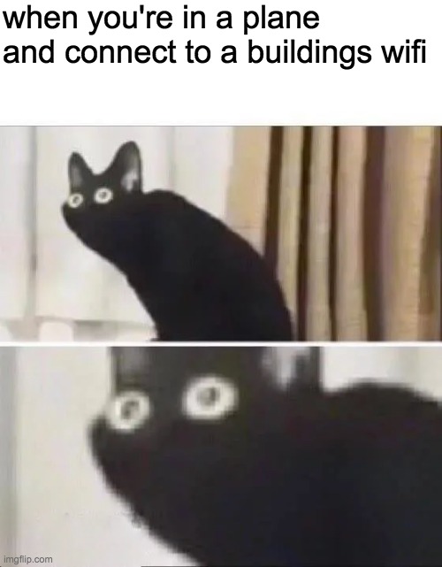 Oh No Black Cat | when you're in a plane and connect to a buildings wifi | image tagged in oh no black cat | made w/ Imgflip meme maker