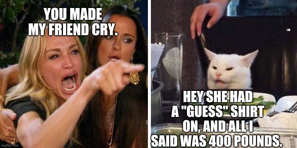 Smudge the cat | YOU MADE MY FRIEND CRY. J M; HEY SHE HAD A "GUESS" SHIRT ON, AND ALL I SAID WAS 400 POUNDS. | image tagged in smudge the cat | made w/ Imgflip meme maker
