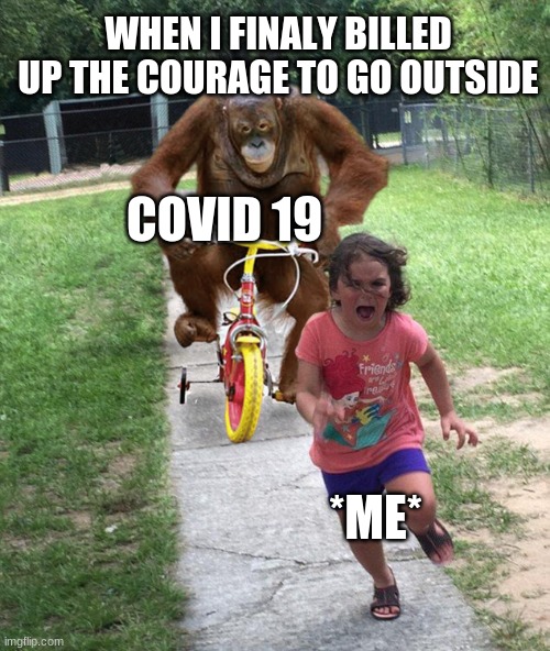 you can not denie | WHEN I FINALY BILLED UP THE COURAGE TO GO OUTSIDE; COVID 19; *ME* | image tagged in oh no | made w/ Imgflip meme maker