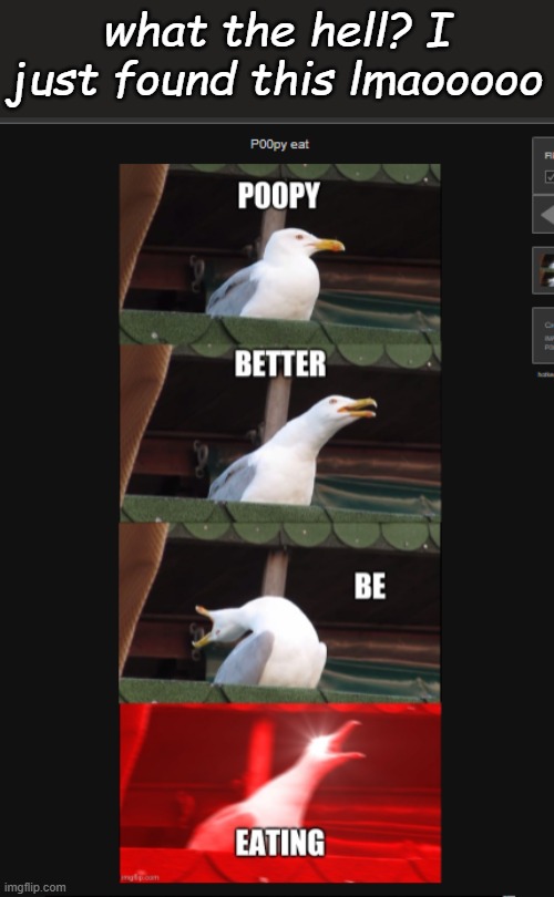 cant find any context XD https://imgflip.com/i/4uxu7h -cam | what the hell? I just found this lmaooooo | made w/ Imgflip meme maker