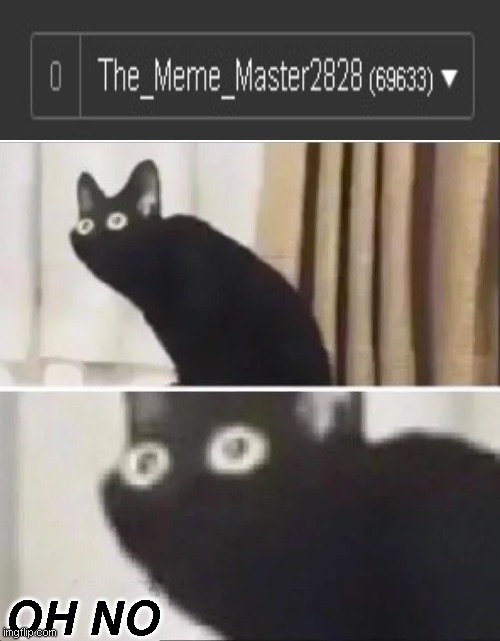 OH NO | OH NO | image tagged in oh no black cat,never gonna give you up,never gonna let you down,never gonna run around,and desert you,memes | made w/ Imgflip meme maker