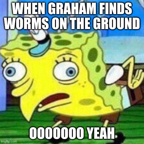 triggerpaul | WHEN GRAHAM FINDS WORMS ON THE GROUND; OOOOOOO YEAH | image tagged in triggerpaul | made w/ Imgflip meme maker