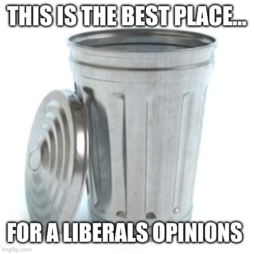 Straight in the trash | THIS IS THE BEST PLACE... FOR A LIBERALS OPINIONS | image tagged in memes | made w/ Imgflip meme maker