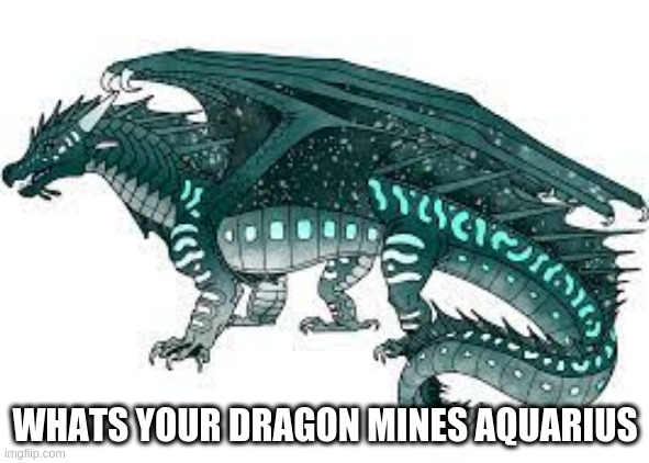 WHATS YOUR DRAGON MINES AQUARIUS | image tagged in wings of fire | made w/ Imgflip meme maker