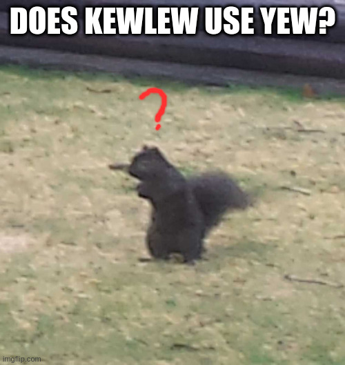 Cool lew kreates | DOES KEWLEW USE YEW? | image tagged in squirrel,kewlew | made w/ Imgflip meme maker