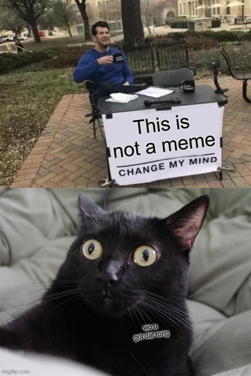 This is not a meme; wo u got dat rong | image tagged in memes,change my mind,startled cat | made w/ Imgflip meme maker
