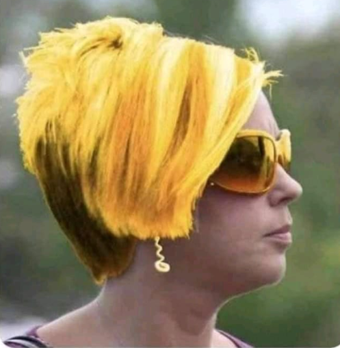 Golden hair Karen Blank Meme Template