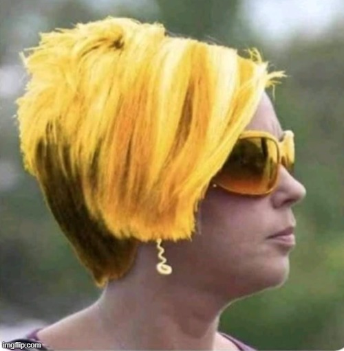 Golden hair Karen | image tagged in golden hair karen | made w/ Imgflip meme maker