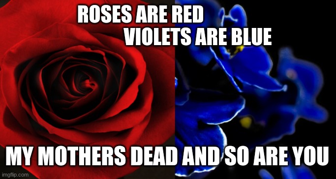 roses be red | ROSES ARE RED                                VIOLETS ARE BLUE; MY MOTHERS DEAD AND SO ARE YOU | image tagged in roses are red violets are blue | made w/ Imgflip meme maker