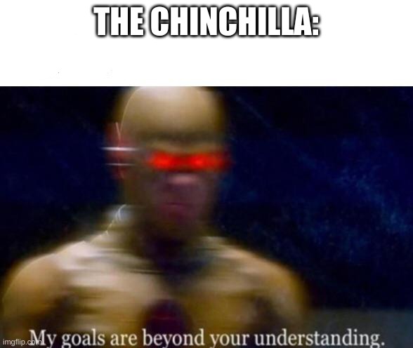 My Goals are Beyond your Understanding | THE CHINCHILLA: | image tagged in my goals are beyond your understanding | made w/ Imgflip meme maker