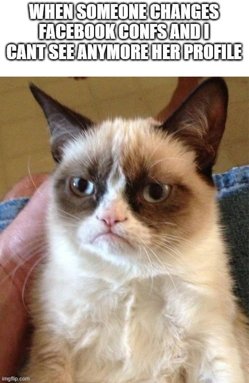 Grumpy Cat Meme | WHEN SOMEONE CHANGES FACEBOOK CONFS AND I CANT SEE ANYMORE HER PROFILE | image tagged in memes,grumpy cat | made w/ Imgflip meme maker
