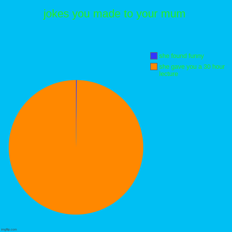 jokes you made to your mum | she gave you a 30 hour lecture, she found funny | image tagged in charts,pie charts | made w/ Imgflip chart maker